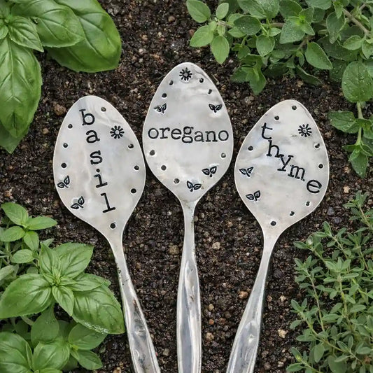 Three silver plate spoons labeled 'basil', 'oregano', and 'thyme' on a soil background with herbs.
