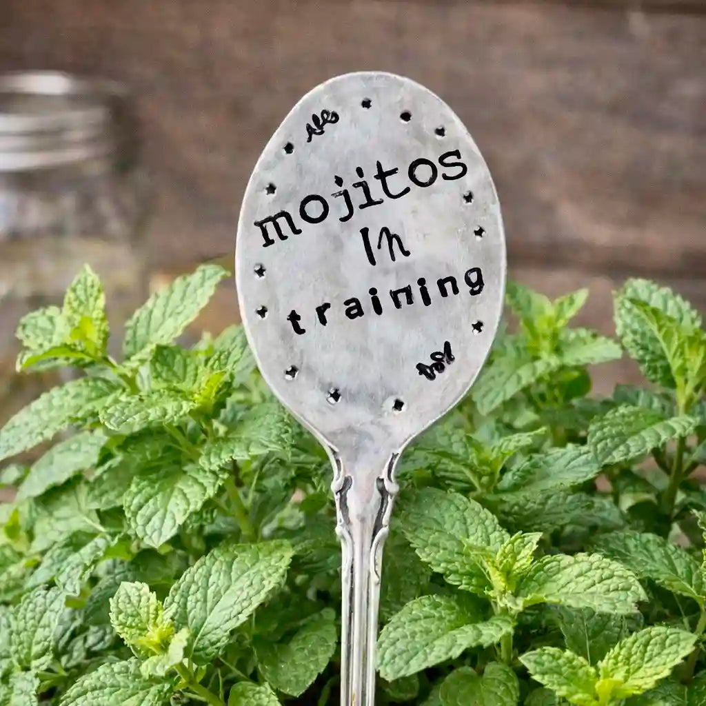 Silver spoon with 'mojitos in training' text on a background of green plants